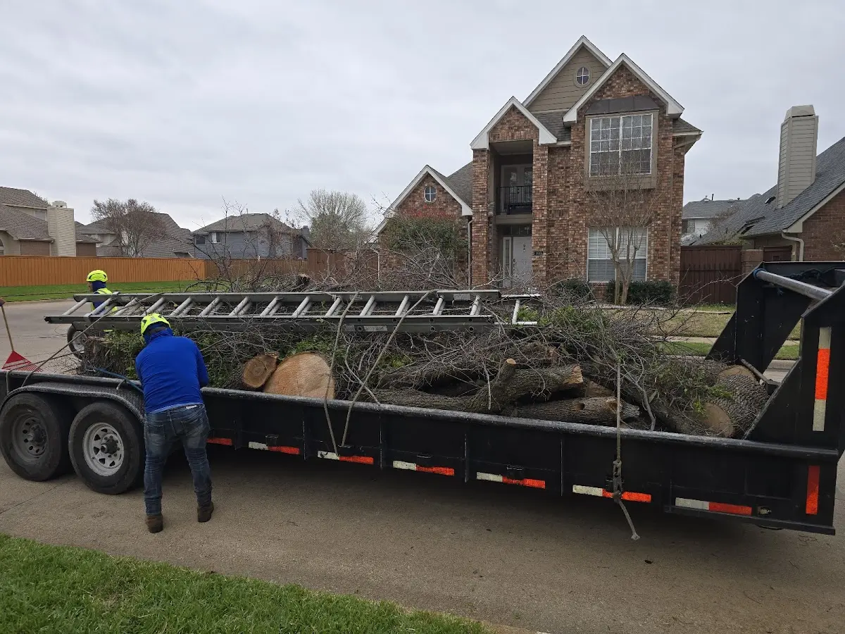 Expert Crown Reduction with proper safety equipment in Geismar